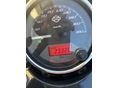 HARLEY-DAVIDSON STREET 750 2016/6 - 4