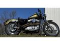HARLEY-DAVIDSON SPORTSTER 883 2001 - 4