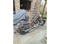 SUZUKI VL 1500 (INTRUDER) vl 1500