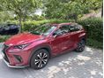 LEXUS NX 300h Luxury CVT