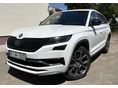 SKODA KODIAQ 2019/1 - 1