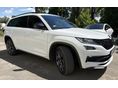 SKODA KODIAQ 2019/1 - 2