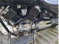 YAMAHA XVS 1100 A DRAG STAR 2005 - 6