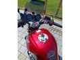 HONDA CBF 600 2007/7 - 5