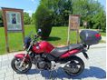 HONDA CBF 600 2007/7 - 9