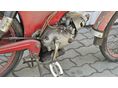 PUCH MS 50 V 1958/5 - 2