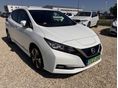 NISSAN LEAF 2021/12 - 2