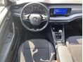 SKODA OCTAVIA 2022/2 - 5