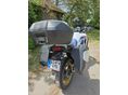 HONDA XL 750 2024/7 - 4