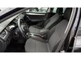 SKODA OCTAVIA 2015/6 - 11