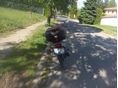 YAMAHA YBR 125 2008/8 - 5