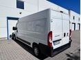 FIAT DUCATO 2019/7 - 8