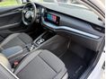 SKODA OCTAVIA 2021/5 - 15