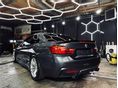 BMW 420 2014/4 - 12