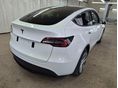 TESLA MODEL Y 2023/5 - 2