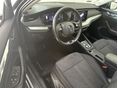 SKODA OCTAVIA 2023/3 - 9