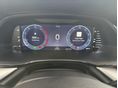 SKODA OCTAVIA 2023/3 - 20
