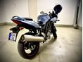 SUZUKI SV 650 S 2006/5 - 2