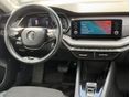 SKODA OCTAVIA 2021/1 - 6