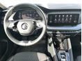 SKODA OCTAVIA 2023/2 - 8
