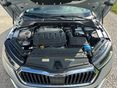 SKODA OCTAVIA 2023/2 - 12