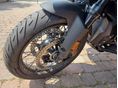 BMW R 1300 GS 2024/6 - 14