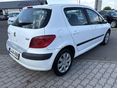 PEUGEOT 307 2003/1 - 7