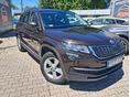 SKODA KODIAQ 2019/4 - 2
