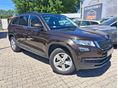 SKODA KODIAQ 2019/4 - 3