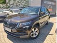 SKODA KODIAQ 2019/4 - 5
