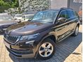 SKODA KODIAQ 2019/4 - 6