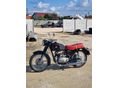 PANNONIA T1 1962 - 2