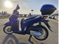 HONDA SH 300 2016/5 - 6