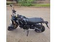 HONDA MSX 125 2022/10 - 2