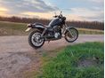 HONDA VT 750 1983 - 4
