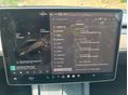 TESLA MODEL 3 2021/9 - 12