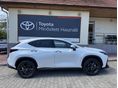 LEXUS NX 2025/9 - 2