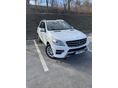MERCEDES-BENZ ML 250 BlueTEC (Automata)