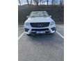 MERCEDES-BENZ ML 250 2011/11 - 3