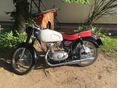 PANNONIA T1 