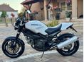 DUCATI MONSTER 2000/5 - 7