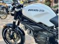 DUCATI MONSTER 2000/5 - 13