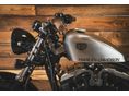 HARLEY-DAVIDSON FORTY-EIGHT 2011/12 - 10
