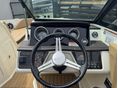 SEA RAY 2020/11 - 5