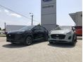 FORD PUMA 2026 - 13