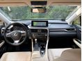 LEXUS RX 2020/12 - 9