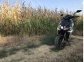 BENELLI 49X 