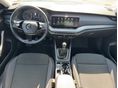 SKODA OCTAVIA 2021/7 - 5
