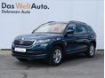 SKODA KODIAQ 2020/10 - 1