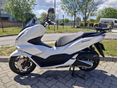 HONDA PCX 125 2024/6 - 2